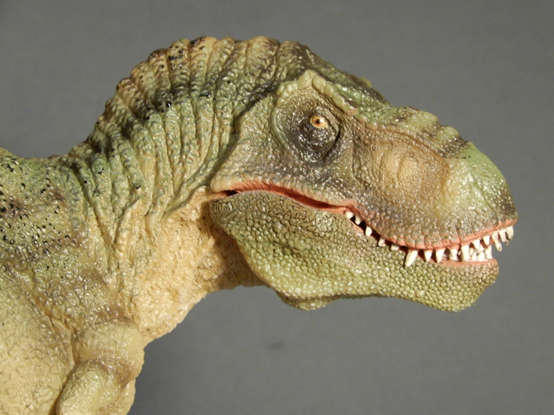 Figurine Dinosaur Articulated T-Rex Tyrannosaurus Dino Valley - Chap Mei -  Rare