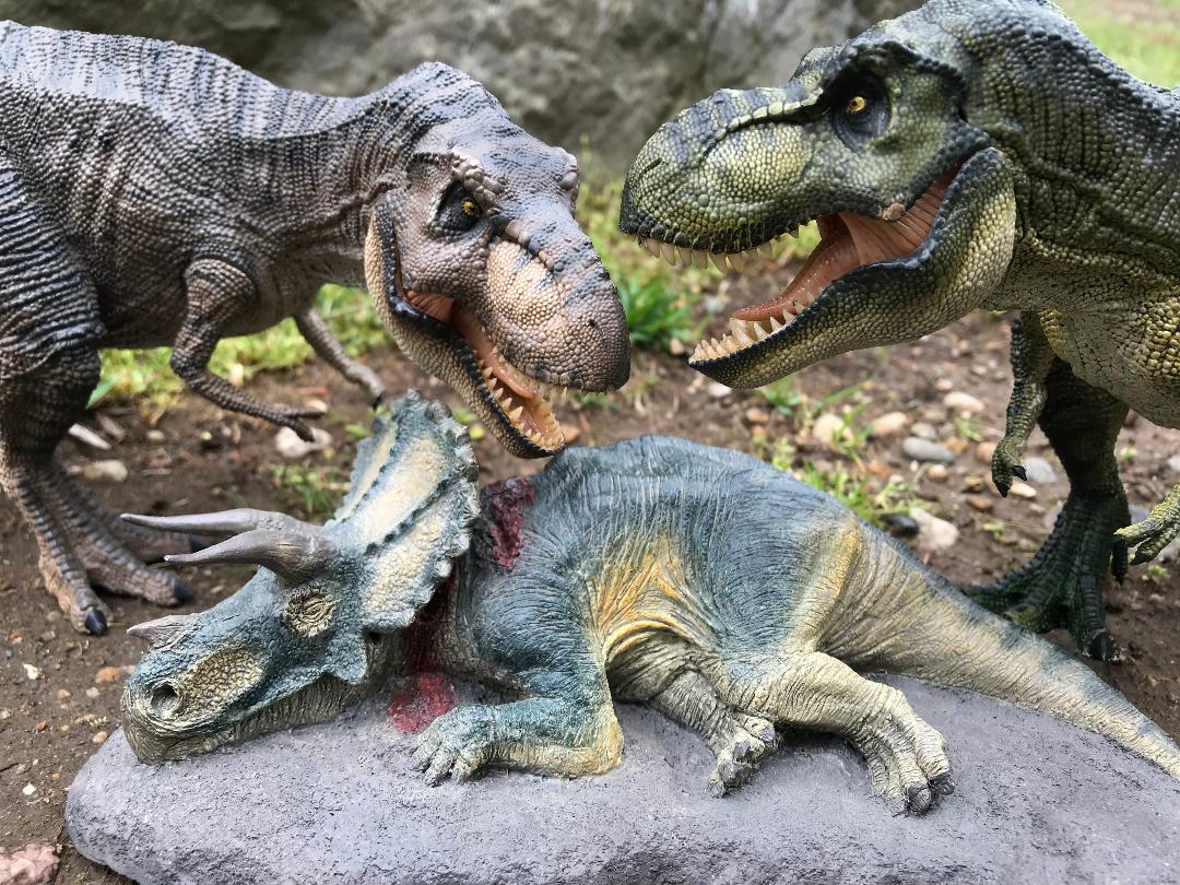 Tyrannosaurus rex (Killer Queens by Rebor) – Dinosaur Toy Blog