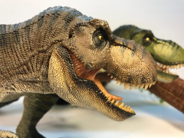 Tyrannosaurus rex (Killer Queens by Rebor) – Dinosaur Toy Blog