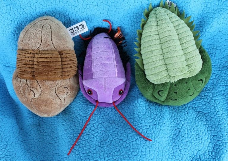 Trilobite Asaphiscus Wheeleri Giant Microbes Dinosaur Toy Blog