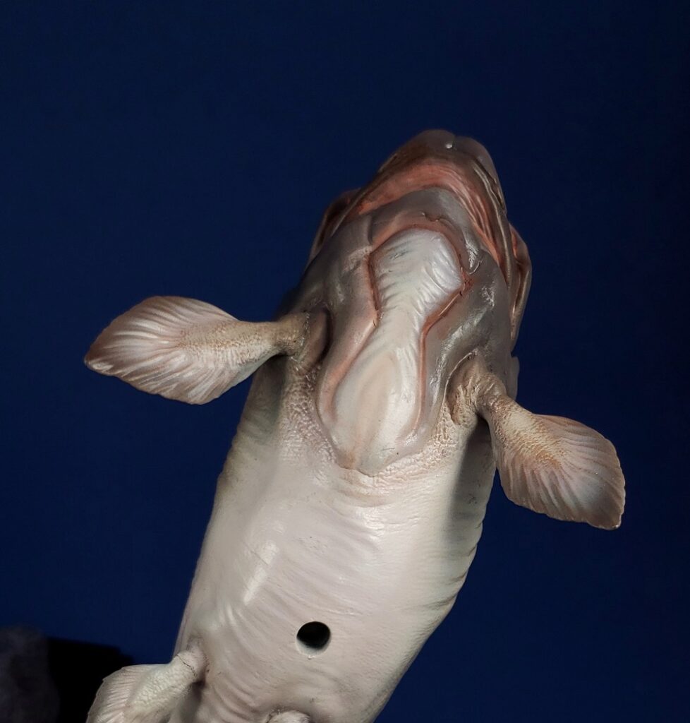 Ventral or belly view of ThinkArt Dunkleosteus model