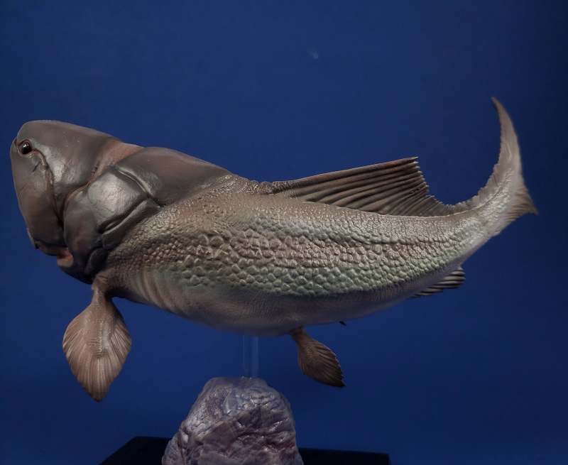 Left lateral view of ThinkArt Dunkleosteus model