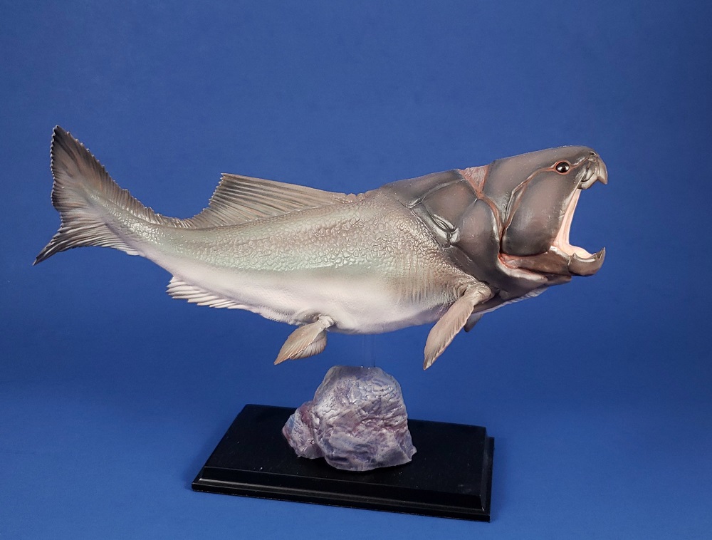 Right lateral view of ThinkArt Dunkleosteus model