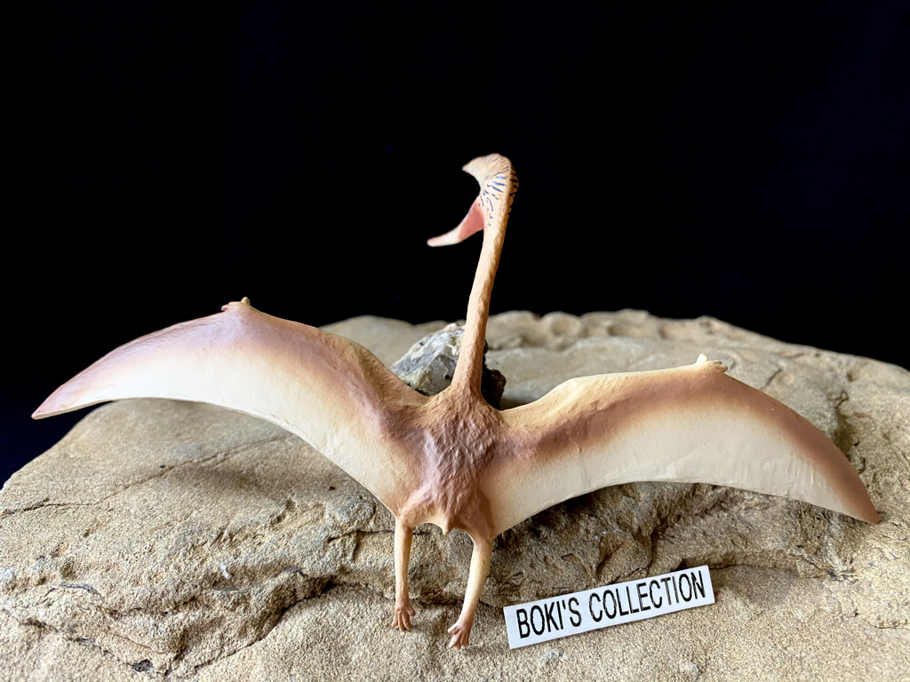 In Stock Vitae Zhejiangopterus Dinosaur Model 1/35 16cm Static Statue  Pterodactyloidea Azhdarchidae Pterosaur