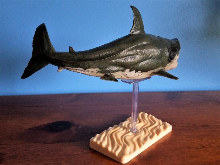 Megalodon (Age of the Dinosaurs by PNSO) – Dinosaur Toy Blog