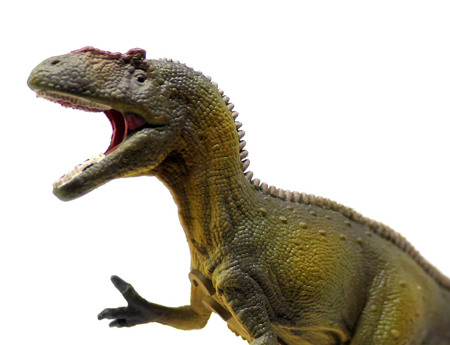 Schleich Allosaurus Model 2024 - Everything Dinosaur