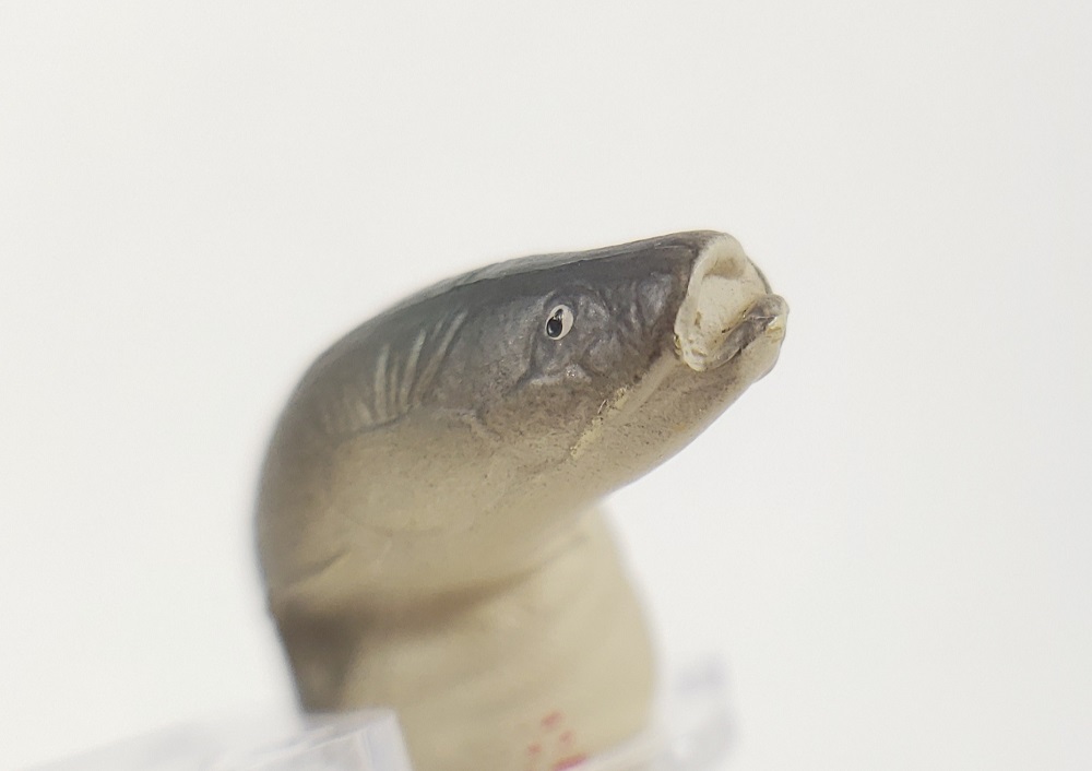 head of Dino Hazard lungfish Equinoxiodus