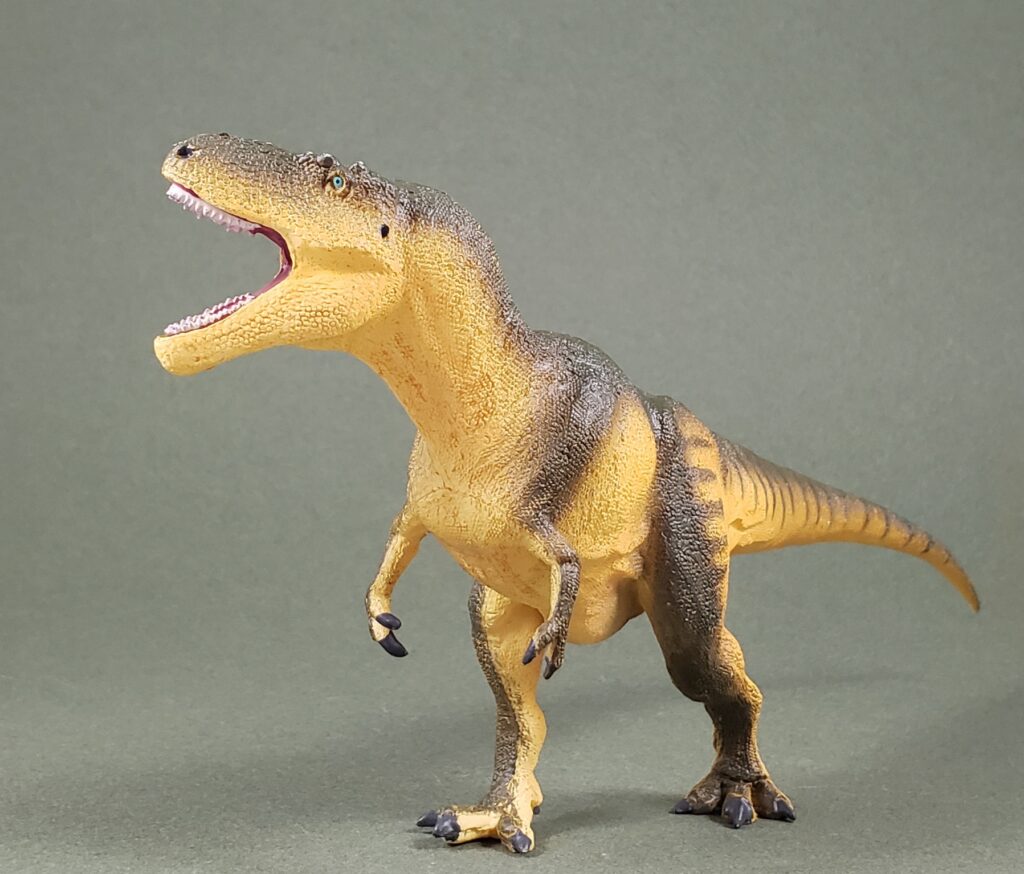 Safari Ltd Daspletosaurus