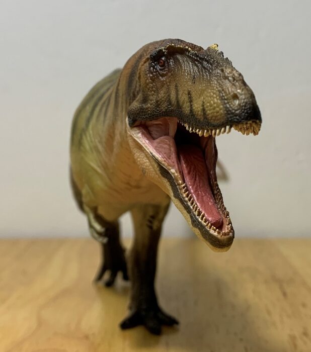 carcharodontosaurus_PNSO_11 – Dinosaur Toy Blog