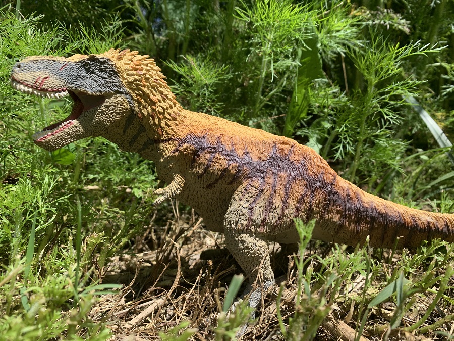 Dino Dana Feathered T-Rex (Safari)