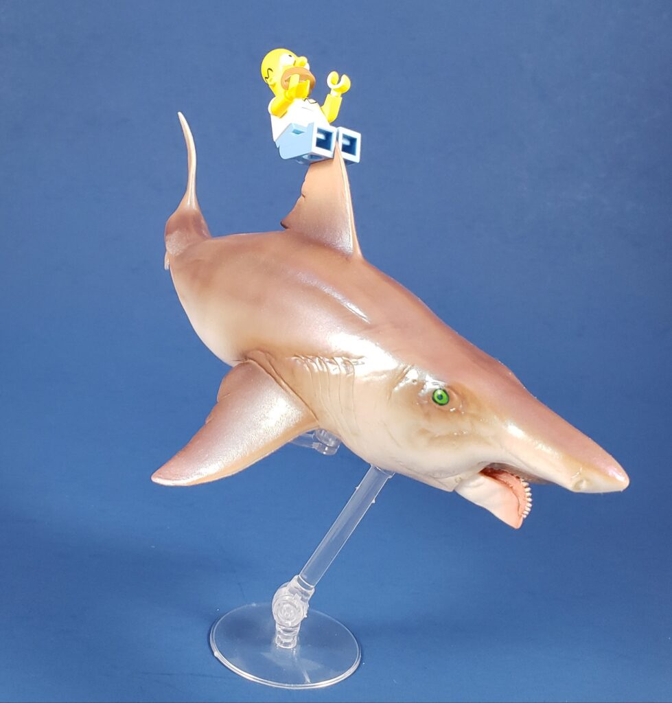 Helicoprion with a Lego minifigure fixed to the dorsal fin for scale.