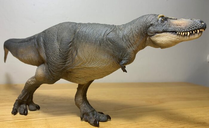 Tarbosaurus (Chuanzi) (Prehistoric Animal Models by PNSO) – Dinosaur ...