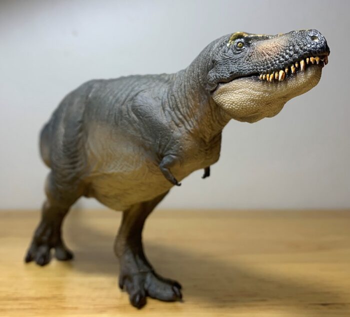 Tarbosaurus (Chuanzi) (Prehistoric Animal Models by PNSO) – Dinosaur ...