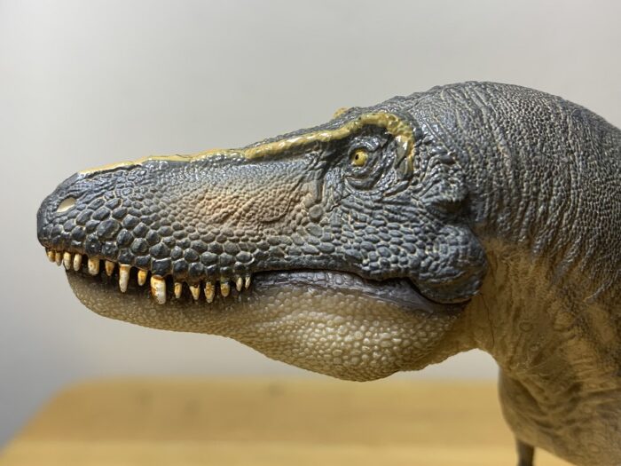 Tarbosaurus (Chuanzi) (Prehistoric Animal Models by PNSO) – Dinosaur ...