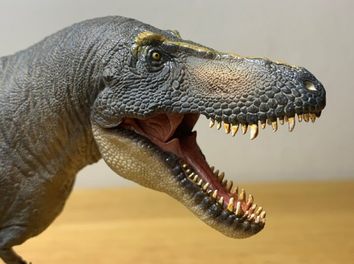 Tarbosaurus (Chuanzi) (Prehistoric Animal Models by PNSO) – Dinosaur ...