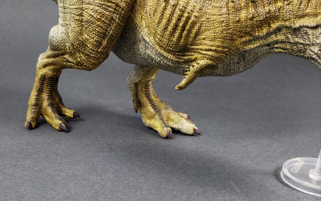 Rebor Ekrixinatosaurus Epitaph closeup foot feet
