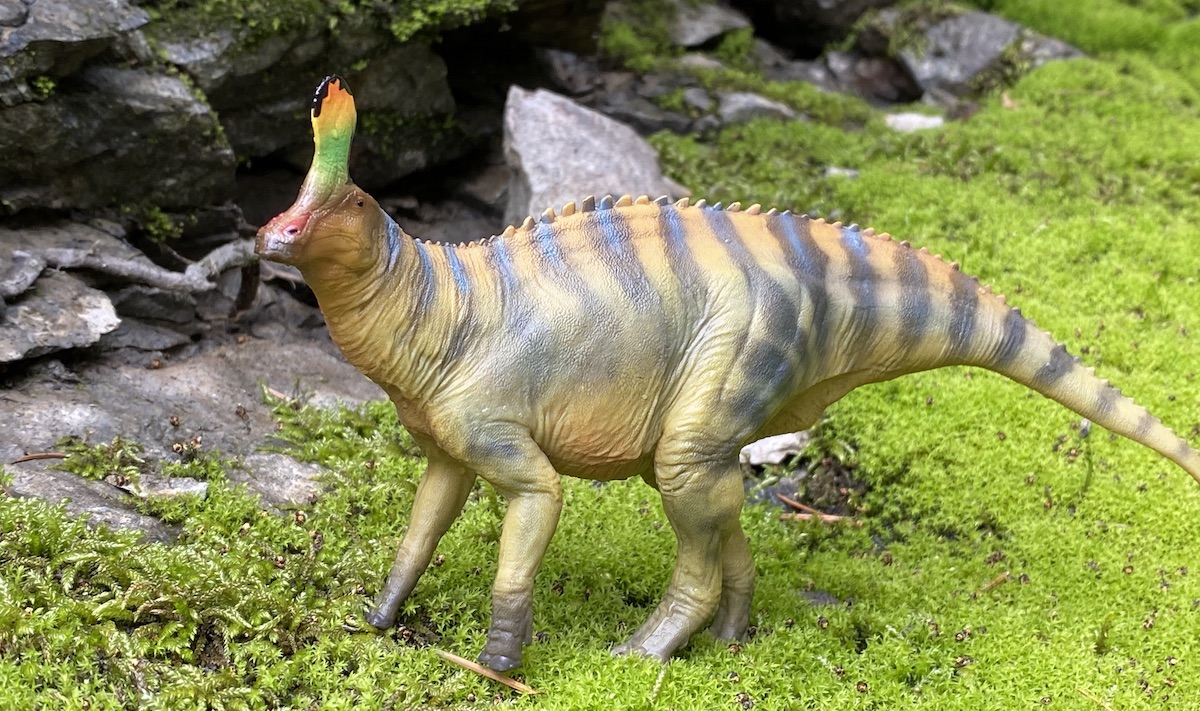 Tsintaosaurus Pnso Museum Line Dinosaur Toy Blog 7776