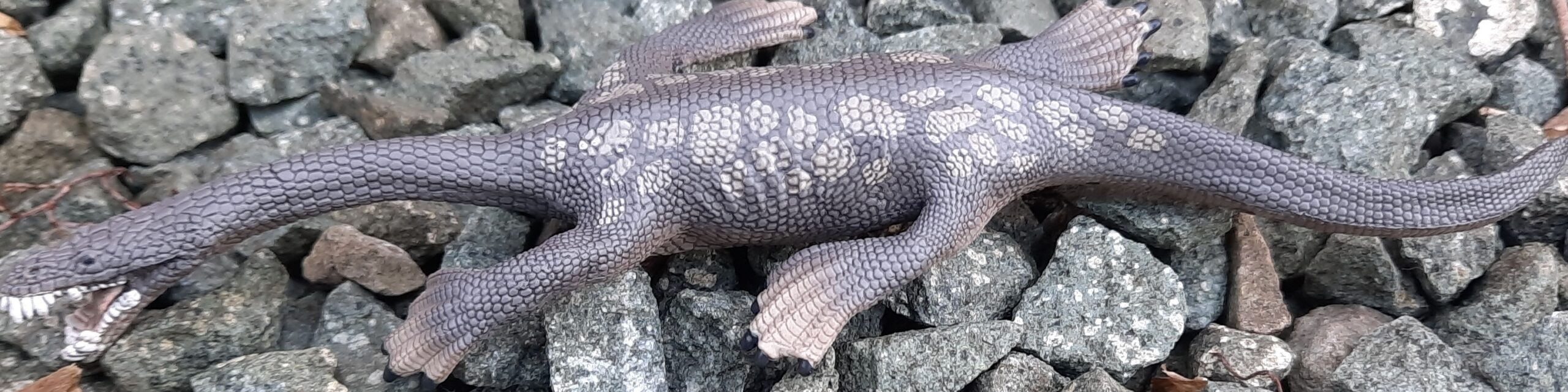 Read more about the article Nothosaurus (Schleich)<div class="yasr-vv-stars-title-container"><div class='yasr-stars-title yasr-rater-stars'
                          id='yasr-visitor-votes-readonly-rater-bf567d3a860f3'
                          data-rating='1.3'
                          data-rater-starsize='16'
                          data-rater-postid='32277'
                          data-rater-readonly='true'
                          data-readonly-attribute='true'
                      ></div><span class='yasr-stars-title-average'>1.3 (70)</span></div>