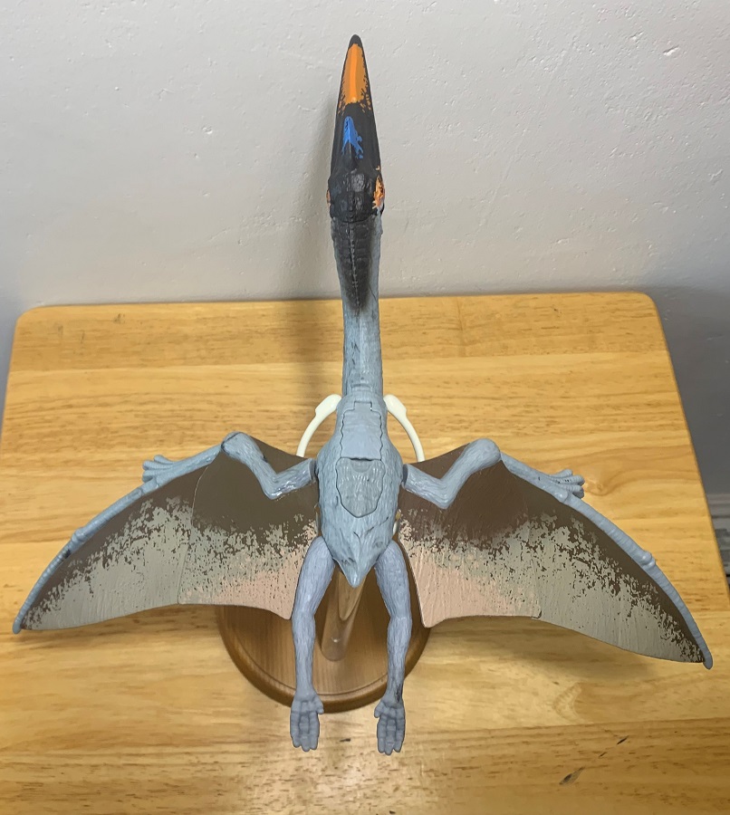 RARE X-Kite Kit 78 Pteranodon Kite COSTCO New