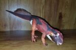 Psittacosaurus (Beasts of the Mesozoic by Creative Beast Studio)