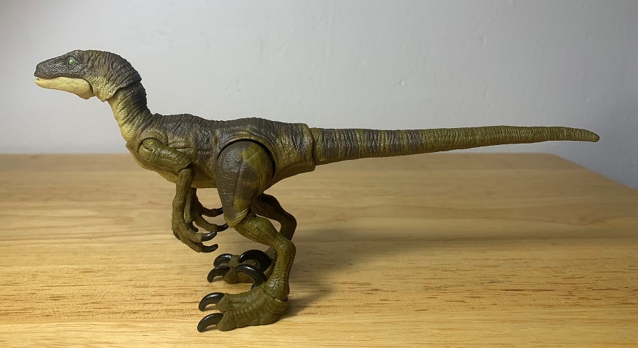 Velociraptor (Jurassic Park, Hammond Collection by Mattel
