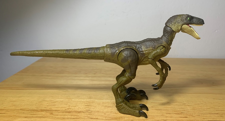 Velociraptor (Jurassic Park, Hammond Collection by Mattel) – Dinosaur Toy  Blog