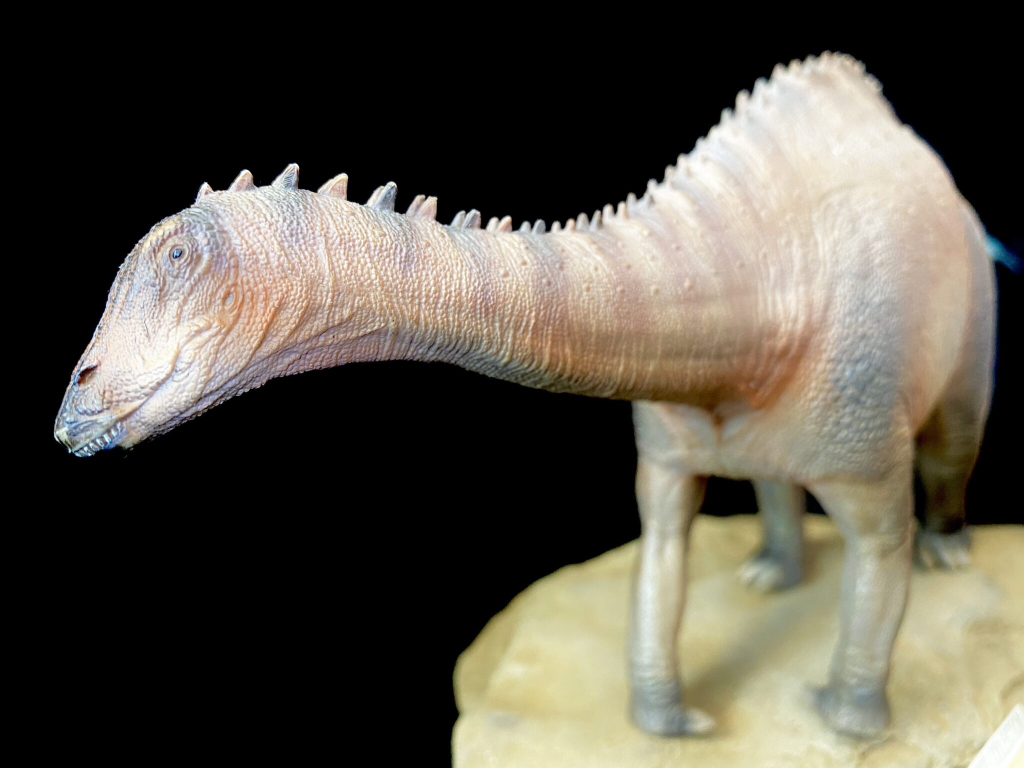 Lingwulong (PNSO) – Dinosaur Toy Blog