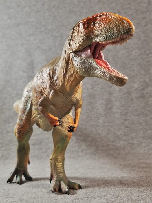 Carcharodontosaurus (GR Toys by Haolonggood) – Dinosaur Toy Blog