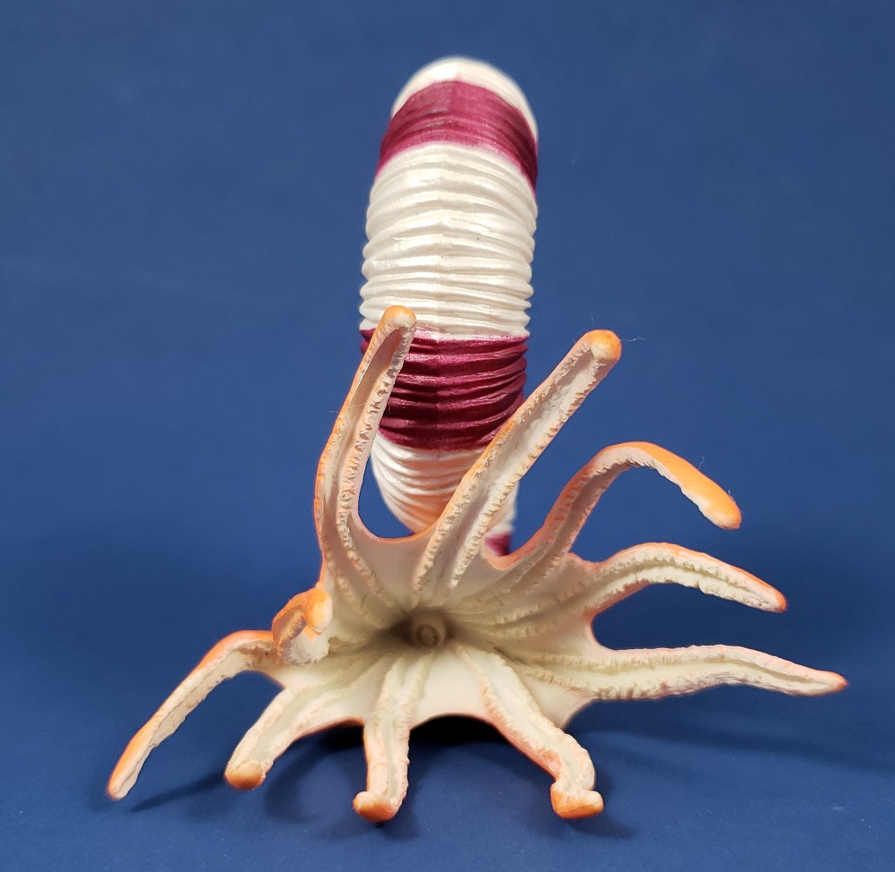 CollectA Pravitoceras mouth view