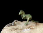 Tyrannosaurus (Sell Rite Giftware (SRG))
