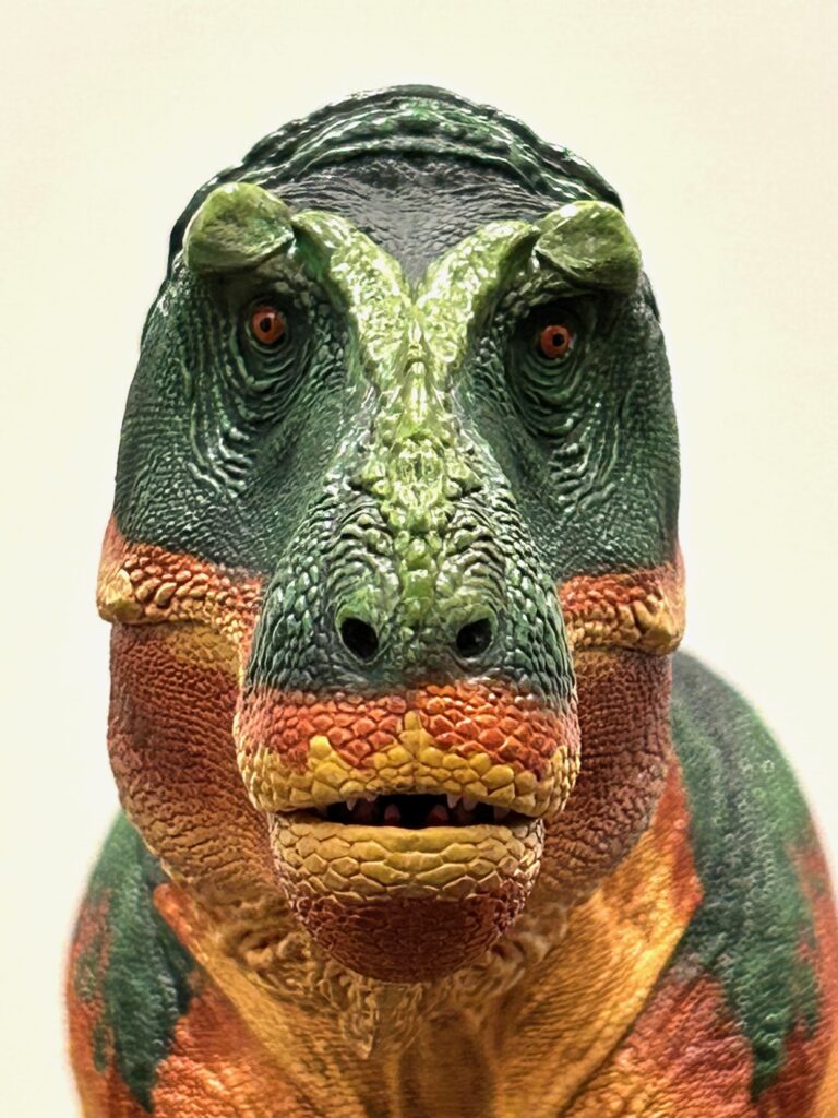 Tyrannosaurus Rex, DinoPedia - The Dino Dan Wiki
