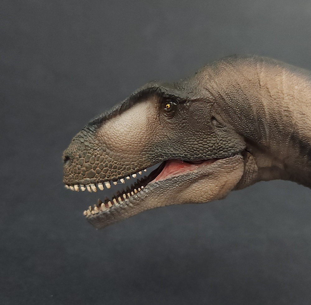 head of PNSO Mapusaurus