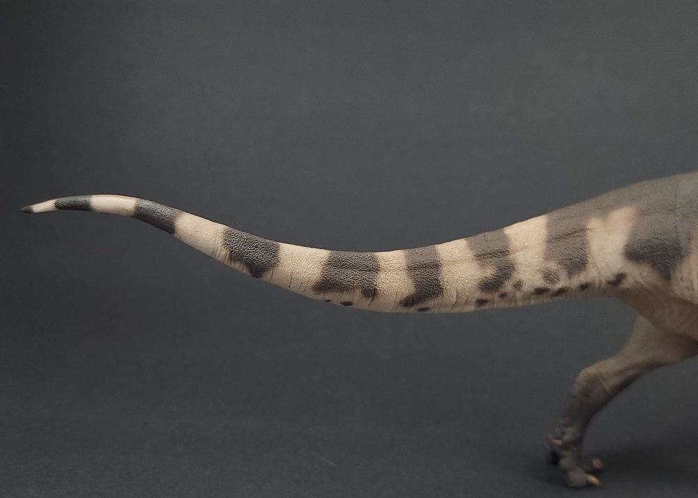 PNSO Mapusaurus tail