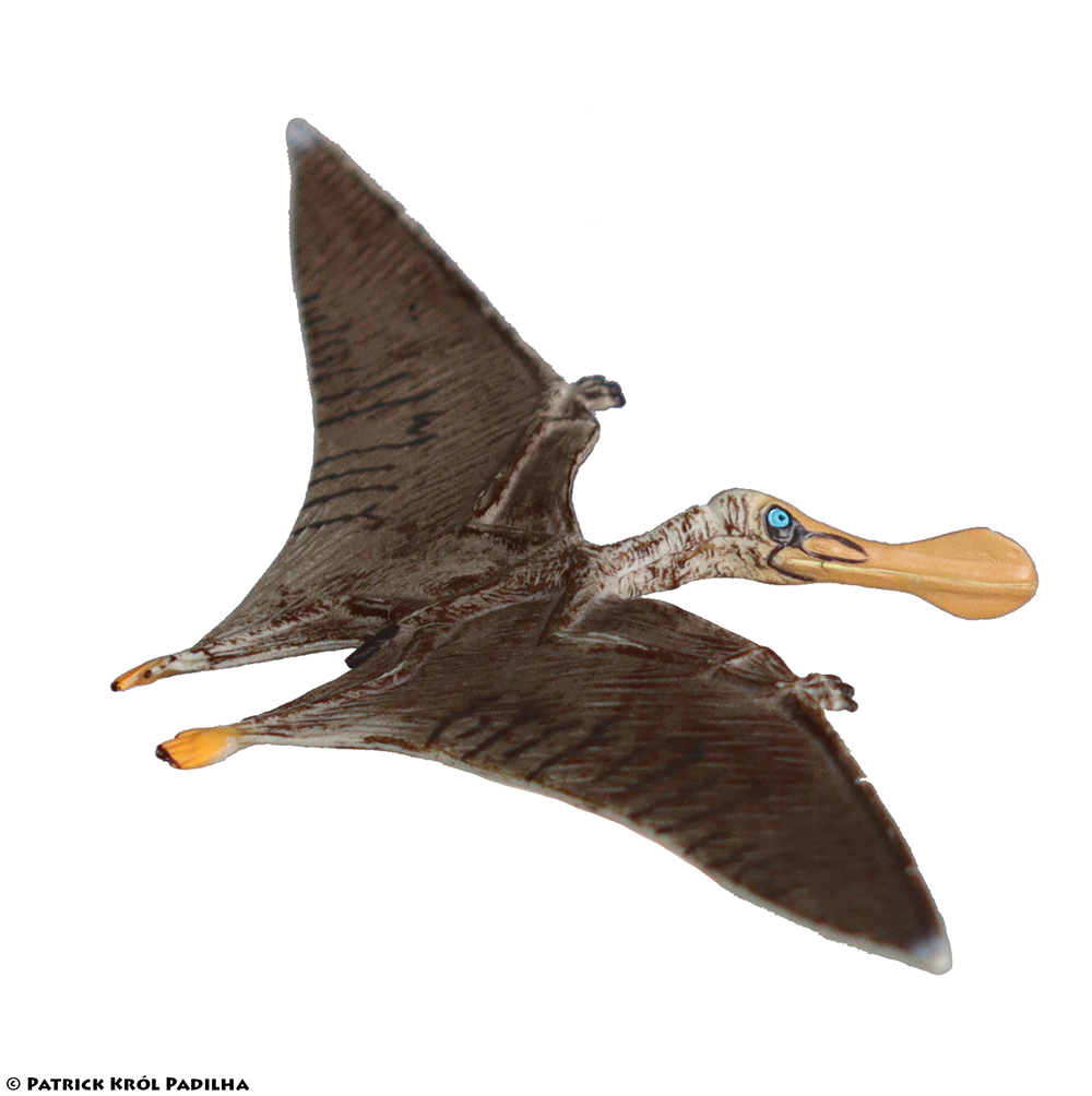 Ikessauro: Pteranodon