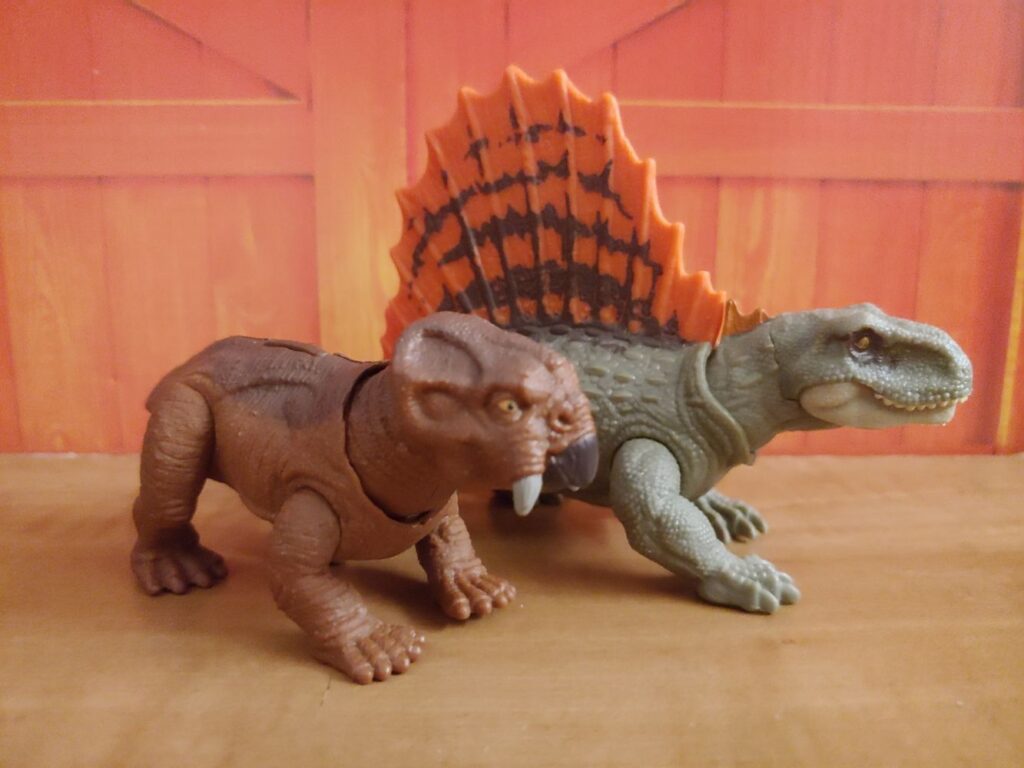Lystrosaurus and Dimetrodon, right side.