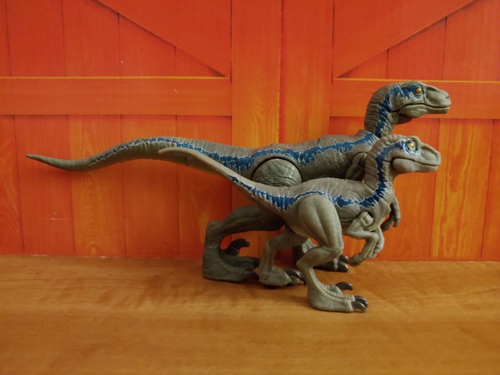 Velociraptor Beta with Blue.
