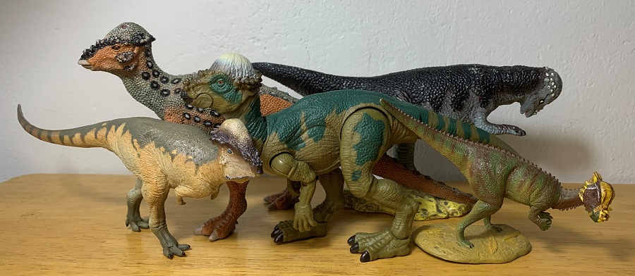 Hammond Collection Pachycephalosaurus. with other Pachycephalosaurus toys.