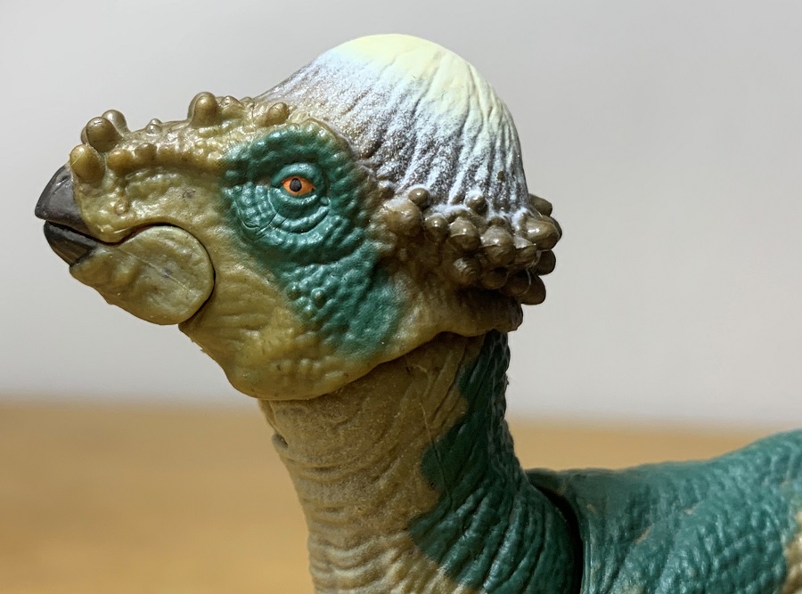 Hammond Collection Pachycephalosaurus, head profile.
