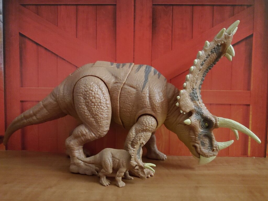 Pentaceratops comparison.