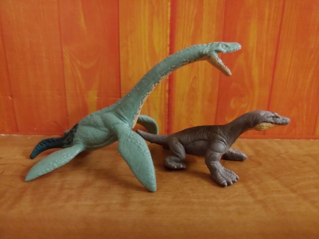Elasmosaurus and Nothosaurus, right side.