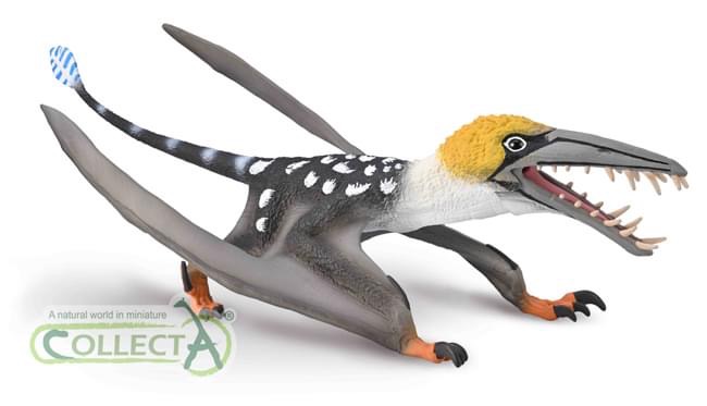 Dearc pterosaur toy new from CollectA side view.