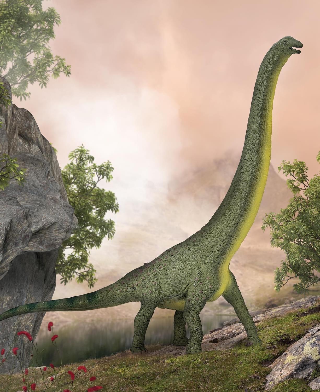New Roadrunner Dinosaur Found in China
