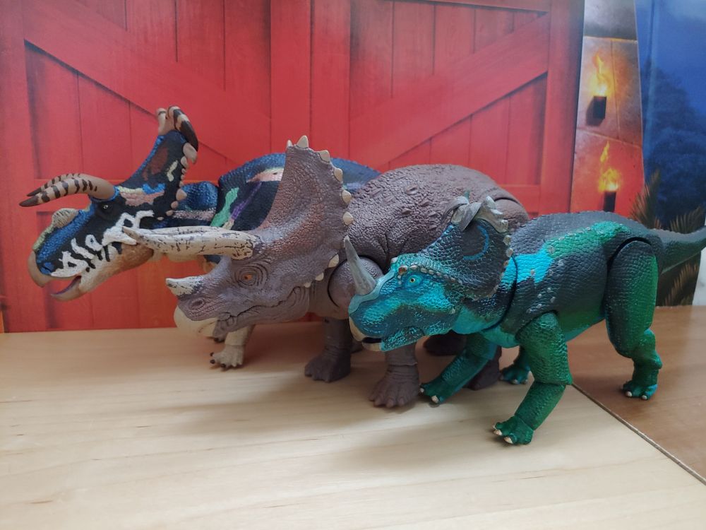 Beasts of the Mesozoic Fan's Choice Medusaceratops with Mattel Jurassic World Hammond Collection Triceratops, and Beasts of the Mesozoic Kickstarter exclusive Monoclonius