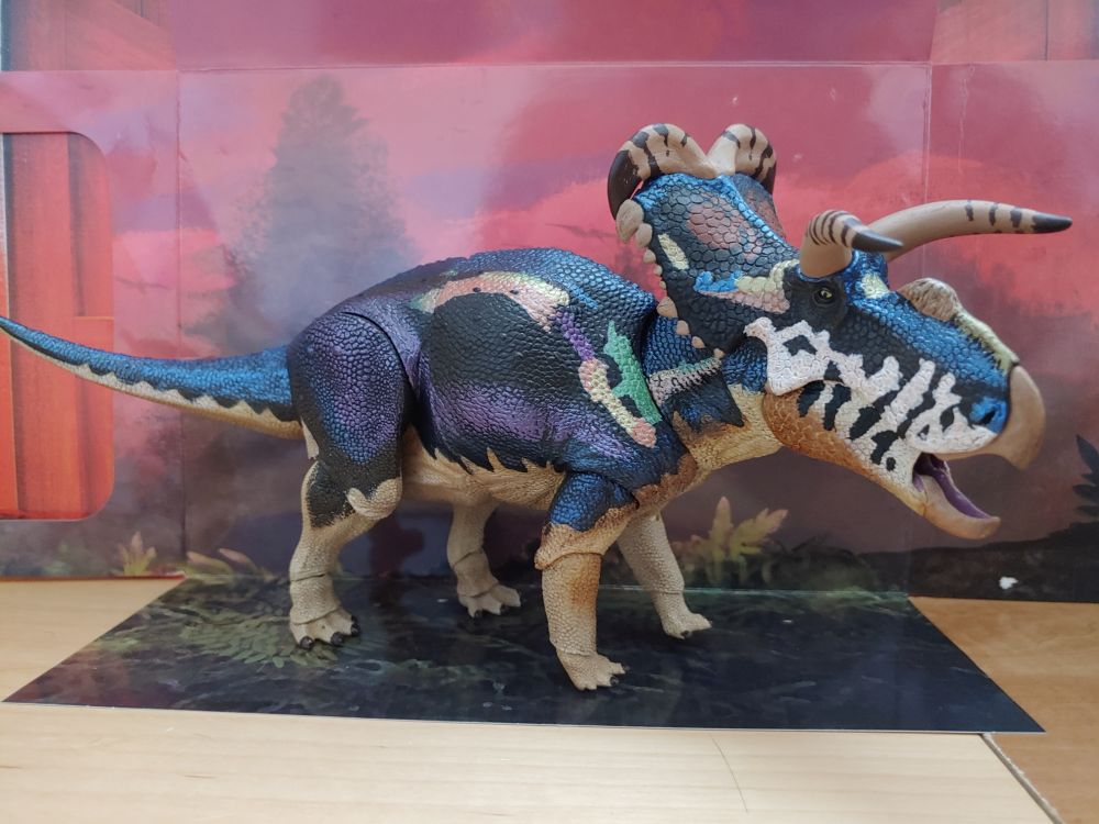 Beasts of the Mesozoic Fan's Choice Medusaceratops standing, facing right, with mouth open