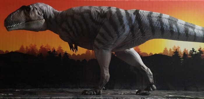 Rebor Deinosuchus Preparations by Everything Dinosaur