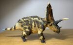 Haolonggood Pentaceratops, right side.