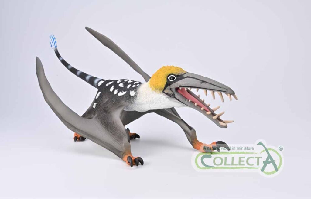 Dearc pterosaur toy new from CollectA front view.