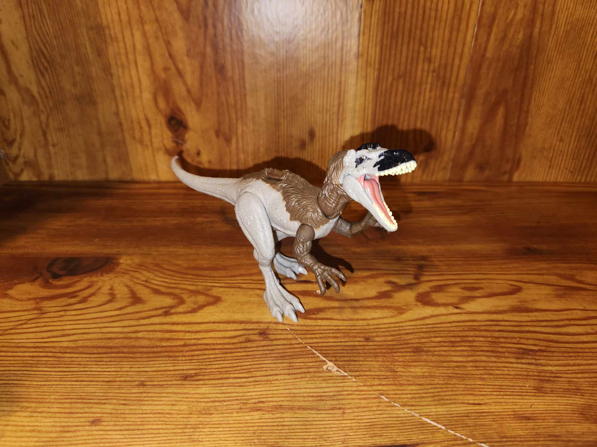 Dinosaur: Utahraptor Foot w/ Claws Cast Replica 16 (large dromaeosaur