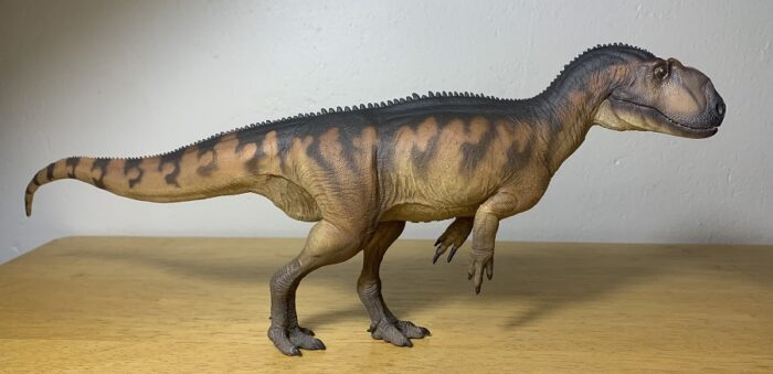 Yangchuanosaurus (Dapeng) (Prehistoric Animal Models by PNSO ...