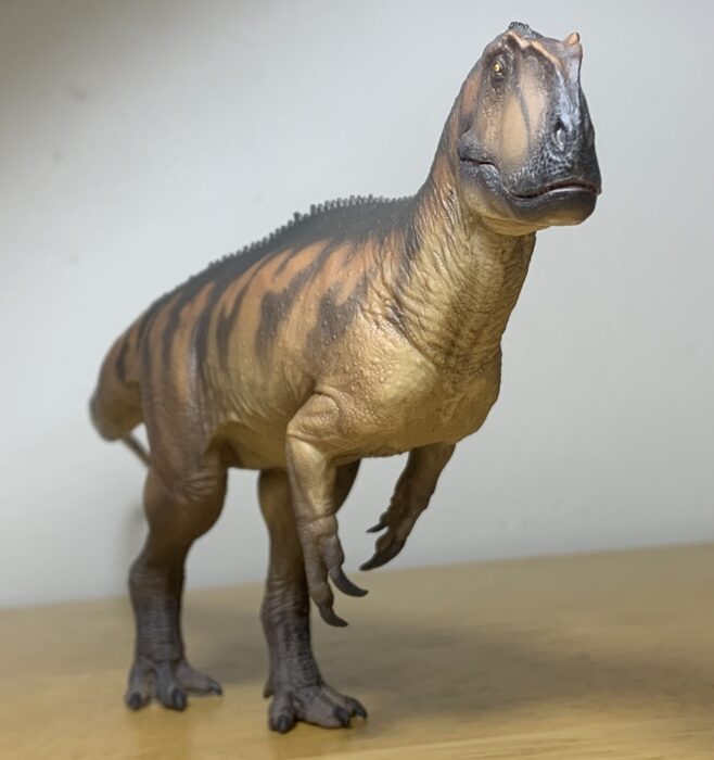 Yangchuanosaurus (Dapeng) (Prehistoric Animal Models by PNSO ...